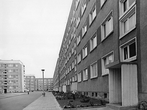 Senftenberg
